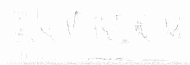 holoubek vlnkovaný - ML617343751