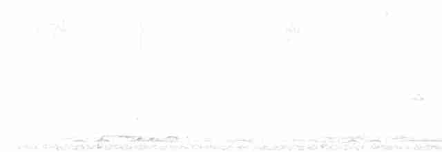 holoubek vlnkovaný - ML617343790
