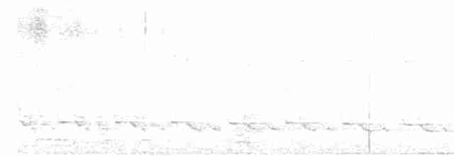 holoubek vlnkovaný - ML617343989