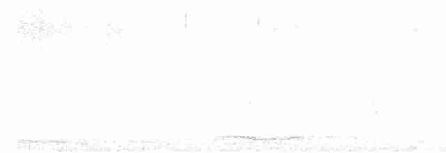 holoubek vlnkovaný - ML617344101