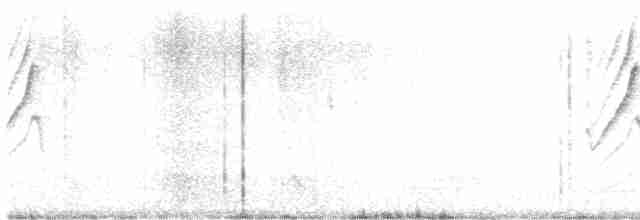 Длиннохвостая нектарница - ML617347189