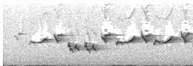 Скрытный ложнокрапивник - ML617347431