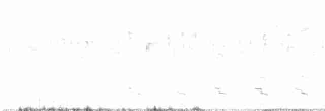 orlík krátkoprstý - ML617347744