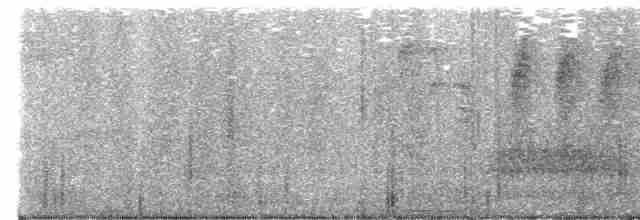 holub pestrokřídlý - ML617348042