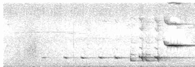 Серогрудый питуи - ML617348244