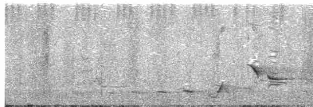 Серогрудый питуи - ML617348246
