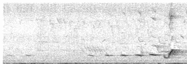 Серогрудый питуи - ML617348248