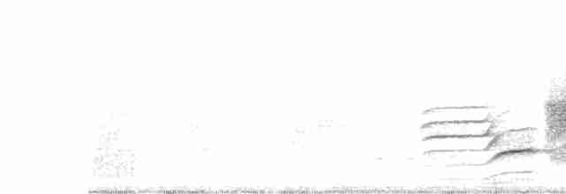 黑冠椋鳥 - ML617348325