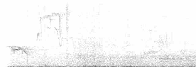 drozd severoindický - ML617349714