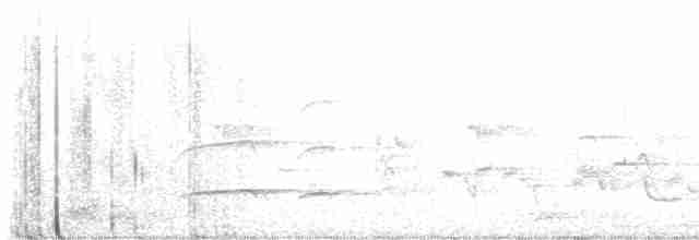 Орел-чубань індійський - ML617349762
