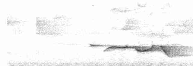 Тимелія-клинодзьоб чорновола - ML617349790