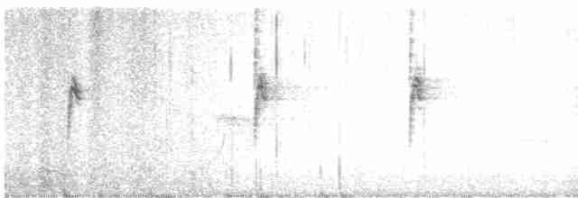 גיבתונית לבנת-גרון - ML617351301