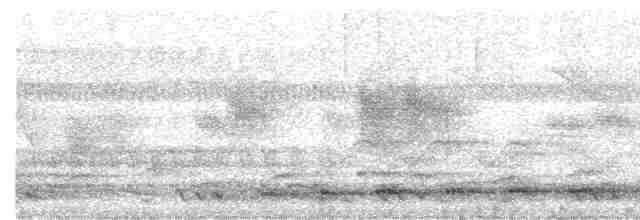 Віялохвіст сірий - ML617351651