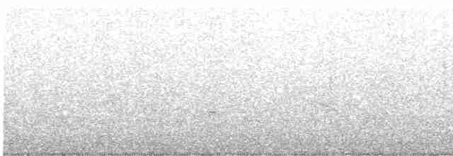Boz Böğürlü Çalıbülbülü (robustipes) - ML617351838