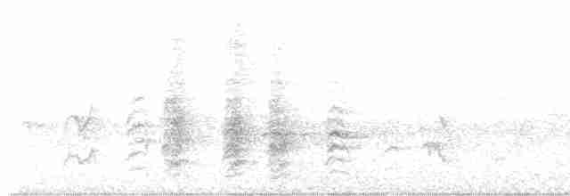 Сверкающий дронго - ML617352163