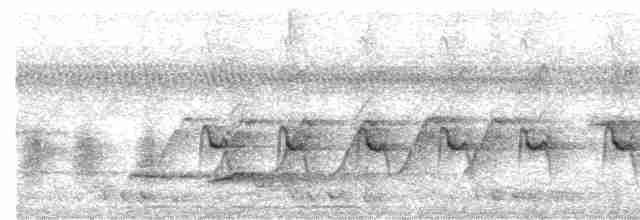 Белобрюхая тимелия-говорушка - ML617352612