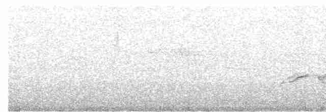Тимелія-клинодзьоб чорновола - ML617352846