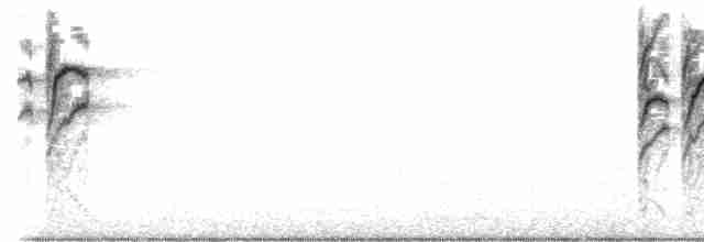 Сейшельская нектарница - ML617352852