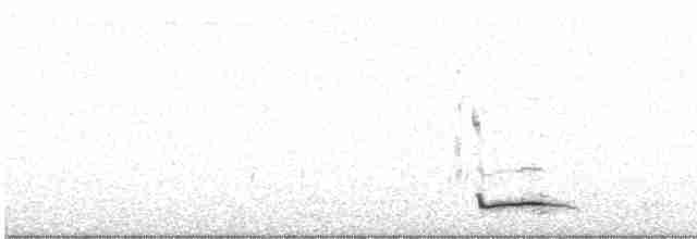 Spotless Starling - ML617354851