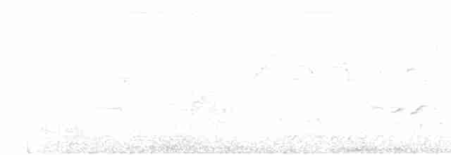 Чапля мангрова [група atricapilla] - ML617357314