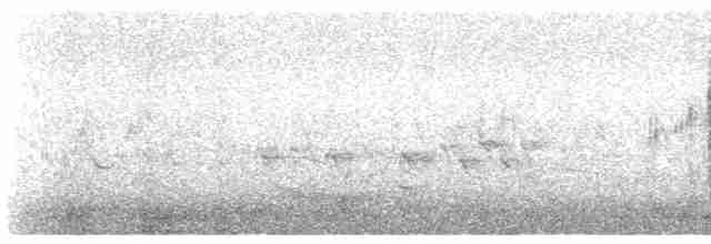 Boğmaklı Ardıç (torquatus) - ML617357350