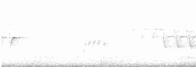 Хохлатая синица - ML617357552