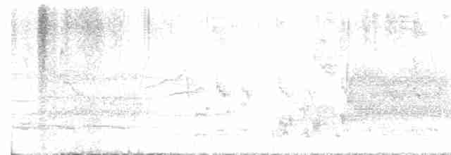 Белогорлая зонотрихия - ML617357847