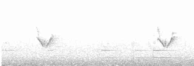 Белокрылая канделита - ML617361759