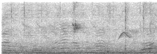 Мухолов-клинодзьоб сірий - ML617362089