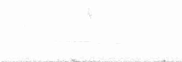 Юнко сірий [група oreganus] - ML617363161