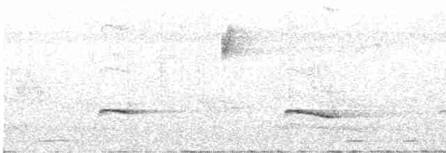 Kestane Sırtlı Karıncakuşu - ML617363729