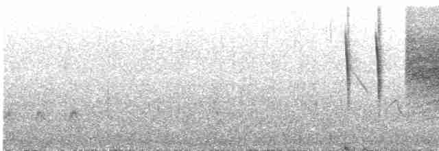 Kara Kuyruklu Bitkuşu - ML617364253