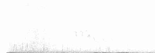 Пестрогрудая овсянка [группа schistacea] - ML617364799