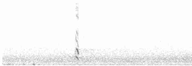 Gallinule poule-d'eau - ML617364944