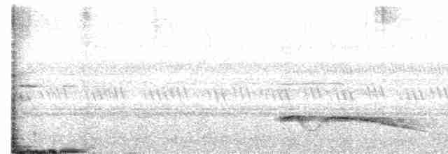 Riesennachtschwalbe - ML617365107