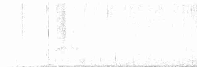 ויראו צהוב-גרון - ML617365774