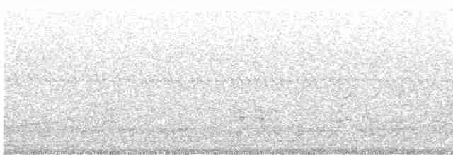 Средний кроншнеп - ML617366227