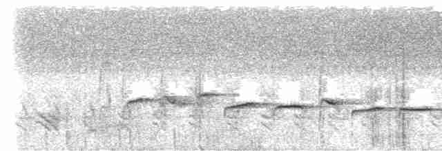 Пятнистогрудая тимелия-говорушка - ML617366386