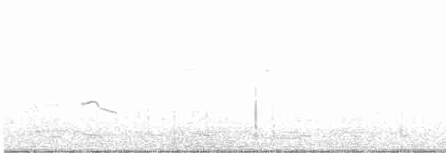 Little Ringed Plover - ML617367821