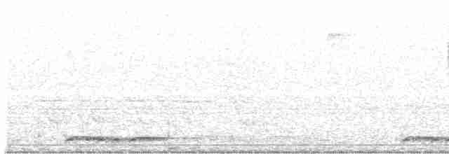 holoubek vlnkovaný - ML617369849
