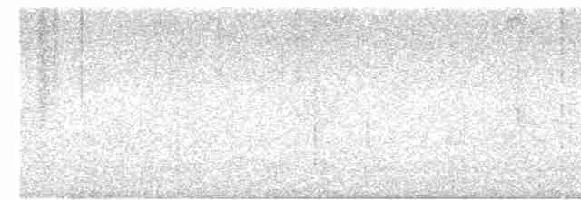 Тиран-інка буроголовий - ML617371579