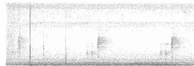 Белоухий крапивник - ML617371666