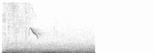 Evening Grosbeak (type 1) - ML617371754