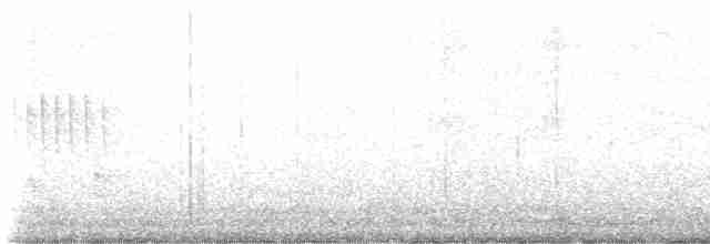 Euli-txori papargorria - ML617375629