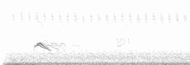 Little Ringed Plover - ML617375816