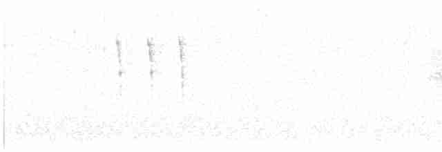 Kara Kuyruklu Bitkuşu - ML617376156