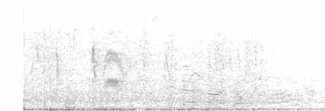 Серогрудый тиранн - ML617378071
