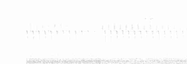 Юнко сірий [група oreganus] - ML617379254