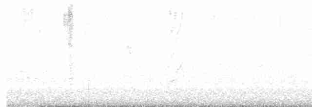 Трясогузковый певун - ML617379801