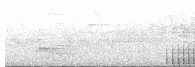 大赤啄木 - ML617380306